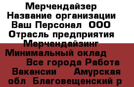 Мерчендайзер › Название организации ­ Ваш Персонал, ООО › Отрасль предприятия ­ Мерчендайзинг › Минимальный оклад ­ 17 000 - Все города Работа » Вакансии   . Амурская обл.,Благовещенский р-н